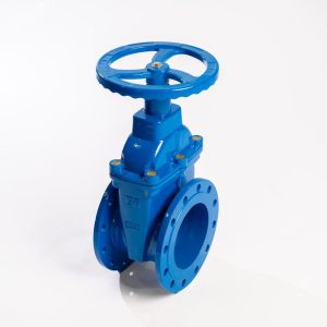 Gate Valve