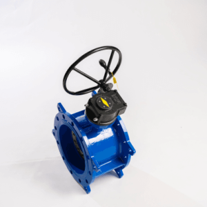Butterfly Valve