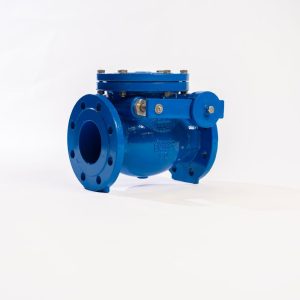 Non-Return Valve