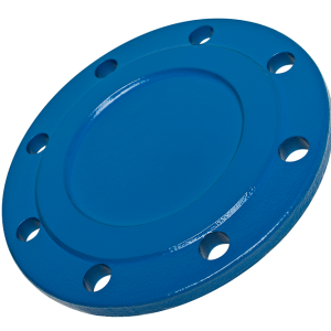 Blind Flange